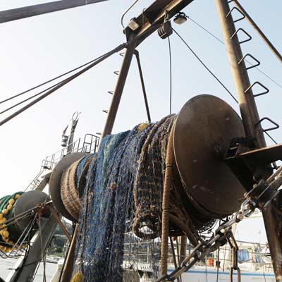 ddos压力测试网页端